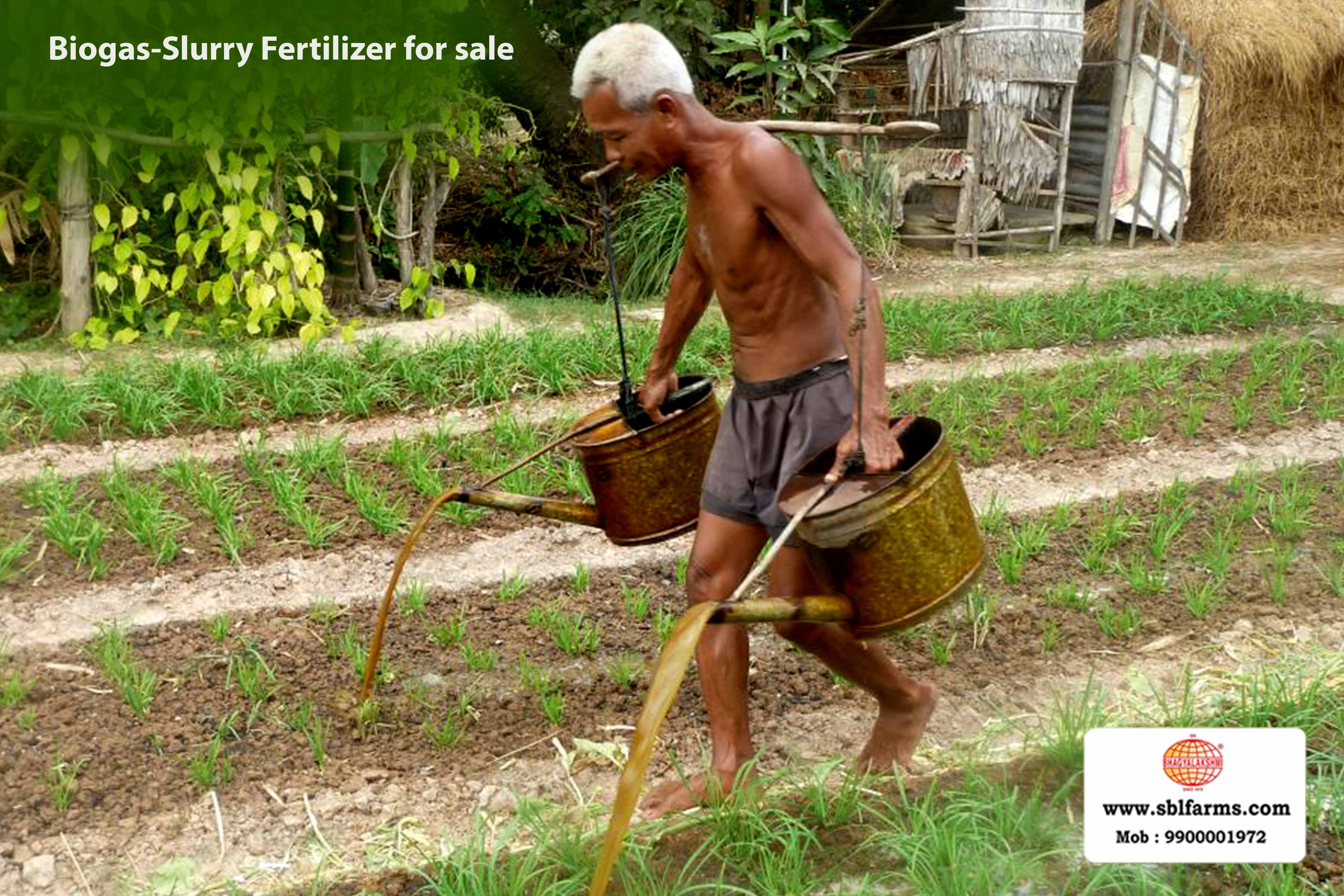 Sri Bhagyalakshmi Farms Bangalore - biogas-slurry fertilizer | Slurry Fertilizer for Sale  |  Fertilizer for vegetable better growth | bioslurry manufacturers, suppliers & exporters in Bangalore|Bio slurry for sale in bangalore |  Sri Bhagyalakshmi Farms fertilizer slurry Bangalore | Bioslurry a supreme fertiliser | slurry fertilizer near me bangalore | slurry fertilizer near me bangalore contact number | manure fertilizer for sale in bangalore | Organic Manure for sale | biogas slurry uses | biogas slurry composition | organic fertilizer price per kg | biogas slurry meaning | organic fertilizer price in india | organic fertilizer price per ton | Sri Bhagyalakshmi Farms, Cow Dung Manure Organic Fertilizer Suppliers in Bangalore